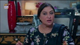 Pal Do Pal - Episode 48 - 25th September 2025